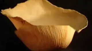 ceramics