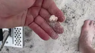 Lucky Duck Digger Beach Detecting ASMR #2 2024