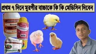 first week medicine for chicks | Agriculture Tour