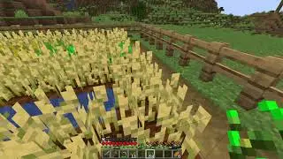 Minecraft Mittwoch - Folge 4 - Der Enderman ist nicht unser Feind - Let's Play Deutsch