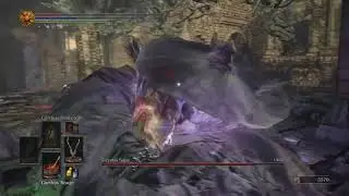 DS3 NG+7 : Crystal Sage no damage!!!