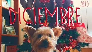 Los regalos de Papá Nöel!!! | SERENDIPIA30 ♡