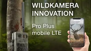 SECACAM Pro Plus mobile LTE - das kann sie