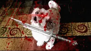 Cody severs his arm (recolored)
