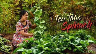 Spinach for Tea time! Do you prefer it Savory or Sweet? | Traditional Me