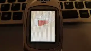 samsung sgh-e300 startup shutdown  orange uk 2004