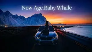 New Age Baby Whale 🎶 Moody blues lofi music for DEEP FOCUS WORK CODING LEARNING CHILL ✨ 