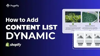 How to Create Shopify Dynamic Content in PageFly | PageFly Tutorial