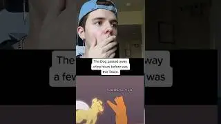 This Video Will Make You CRY... 🥹😭