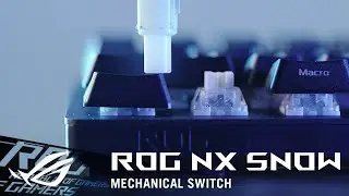 ROG NX Snow mechanical switch | Stability Test | ROG