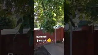 пиши название в комментариях