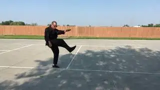 Golden Kempo karate - live or die karate