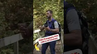 Autumn Photography Tips