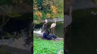 ВСЕ в ОДНОМ МЕСТЕ #kaliningrad