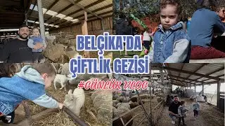 Belçika'da büyük çiftlik etkinliği | Eğlenceli vlog #vlog #belçika #avrupa