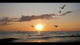 Луна,закаты моря,саксофон...
