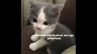 это уже можно посмотреть, шутка