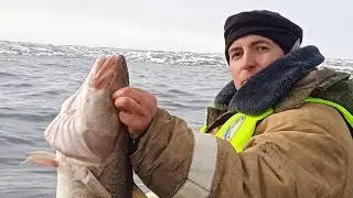 ТЕРИБЕРКА. ОТЛИЧНО ПОРЫБАЧИЛИ. Морская рыбалка. 