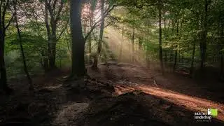 Een Ode aan het Berkellandse Landschap: Fotograferen in de natuur