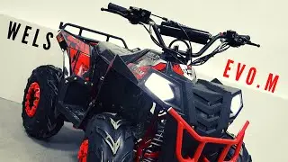Обзор квадроцикла WELS EVO.M 110cc