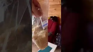 Мышь афигела😂😂😂