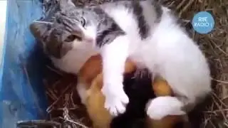 Мамы они такие