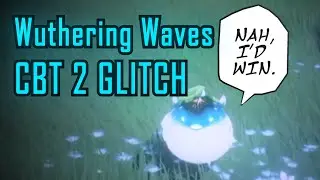 When you Wuther the Waves a bit too much | Wuthering Waves CBT 2 Bug/Glitch