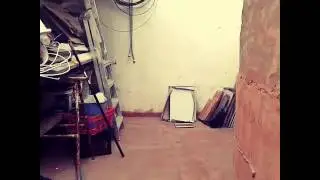 Yo soy el puto amo