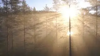 Morning and evening