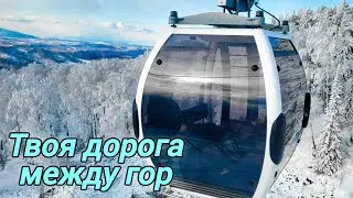 Феерическое путешествие по Горному Алтаю