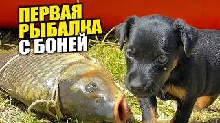 РЫБАЛКА В АСТРАХАНИ ДИКАРЯМИ!САЗАН ЕСТЬ! ОТДЫХ И РЫБАЛКА С НОЧЕВОЙ.КУПИЛ СОБАКУ!