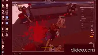 fight video