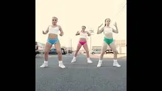 The New Powerpuff Girls 