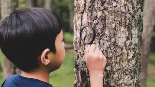 Tante opportunità per le scuole a GEA