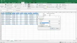 Applying a Custom Auto Filter In Excel