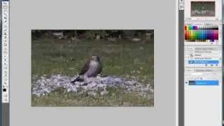 Photoshop, Cropping with the marquee tool