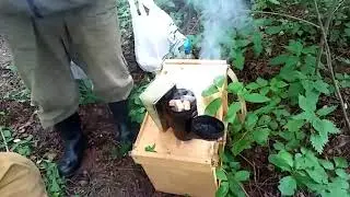 Рой Ловушка и Ватрушка