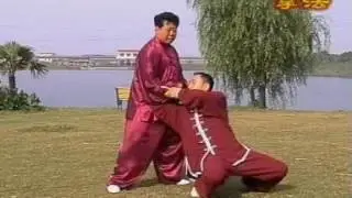 Чень Юй обучает ТуйШоу /// Chen style Taiji, Chen Yu tuishou