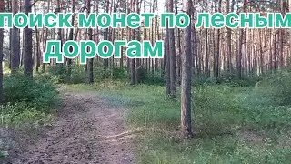 Прогулки с металлоискателем на лесных дорогах