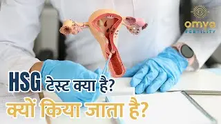 ❇️ HSG टेस्ट क्या है, क्यों किया जाता है? HSG Test In Gurgaon❇️ HSG Test Preparation Hindi
