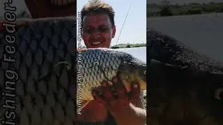 Короп на річці Дністер #fishing  #carp #carpfishing