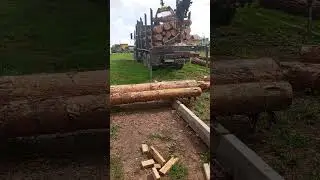 29 июля 2024 г.