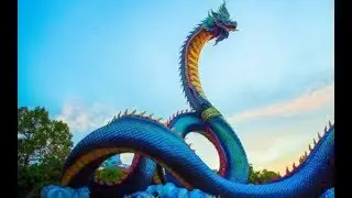 พญานาคเกยตื้น