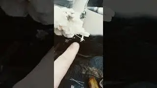 Обгрэйд климат-контроля в Газеле
