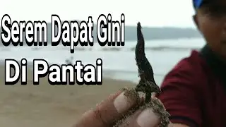 Kejadian aneh Di Pantai Sine Tulungagung Part 1|| Metal Detector Indonesia