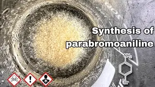 4 bromoaniline : Organic Synthesis