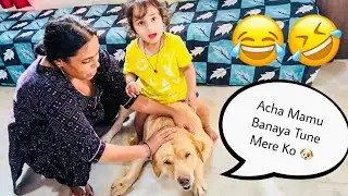 Gapudi🐶 Ab Aaya Oont Pahad ke Niche 😜 | SourShy