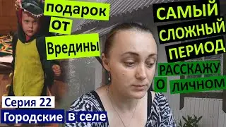 Серия 22. Самый сложный период. Расскажу о личном. Дима уехал на съемки. Подарок от Вредины Life.