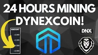 24 HOURS Mining DYNEXcoin RESULTS! DNX Gpu Mining