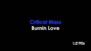 Critical Mass - Burnin Love